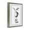 Stupell Industries Vintage Citrus Green Stripes Floating Frame, design by Lettered and Lined